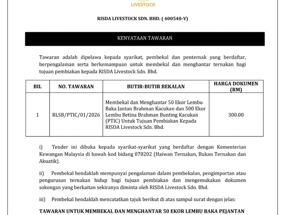 screenshot tender 2025